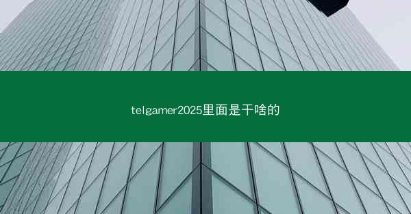 telgamer2025里面是干啥的