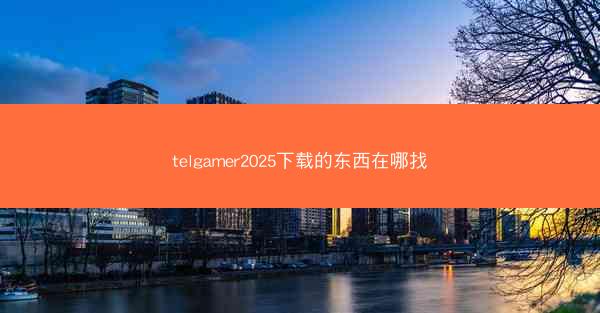 telgamer2025下载的东西在哪找
