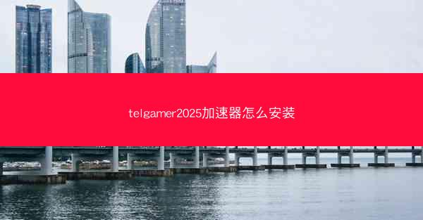 telgamer2025加速器怎么安装