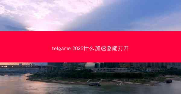 telgamer2025什么加速器能打开