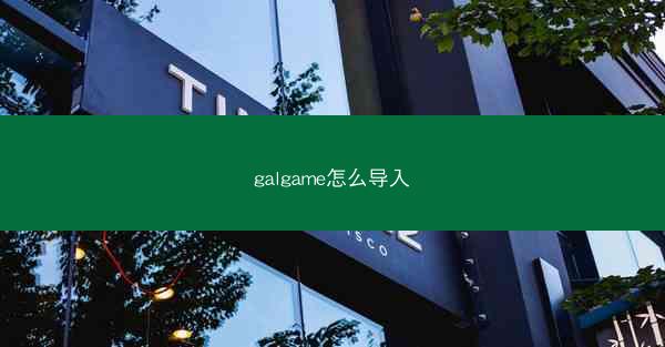 galgame怎么导入