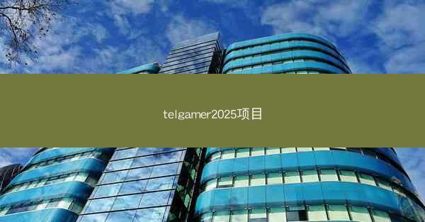 telgamer2025项目