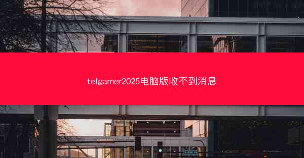 telgamer2025电脑版收不到消息