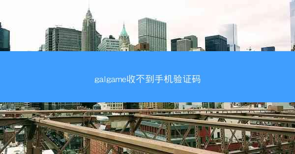 galgame收不到手机验证码
