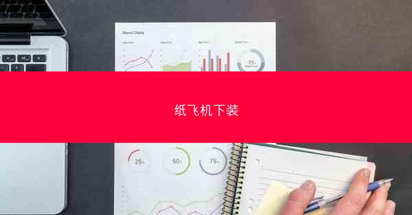 纸飞机下装