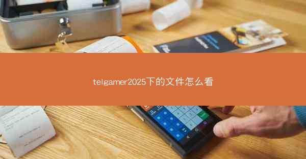 telgamer2025下的文件怎么看