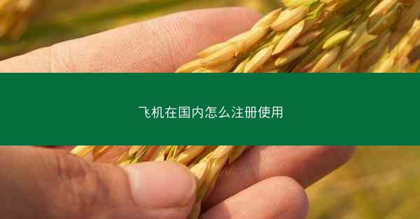 飞机在国内怎么注册使用
