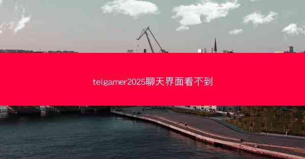 telgamer2025聊天界面看不到