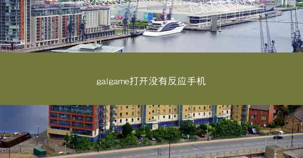 galgame打开没有反应手机