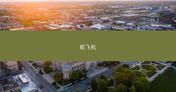 纸飞机