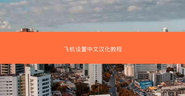 飞机设置中文汉化教程