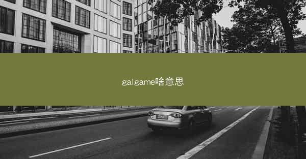 galgame啥意思