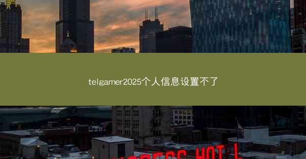 telgamer2025个人信息设置不了