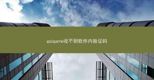 galgame收不到软件内验证码