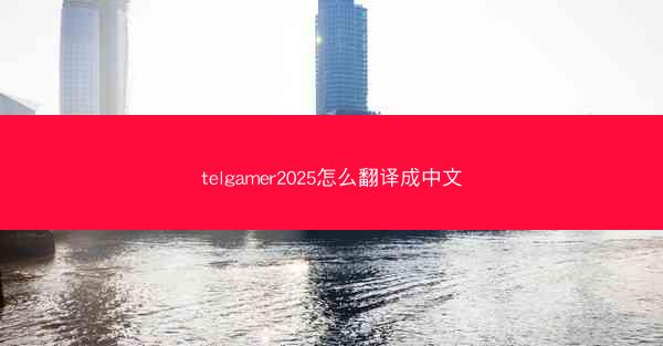 telgamer2025怎么翻译成中文