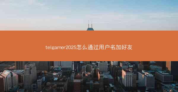 telgamer2025怎么通过用户名加好友