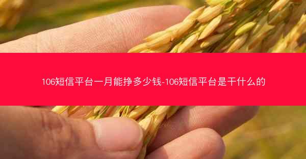 106短信平台一月能挣多少钱-106短信平台是干什么的