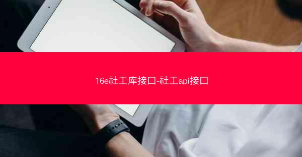 16e社工库接口-社工api接口
