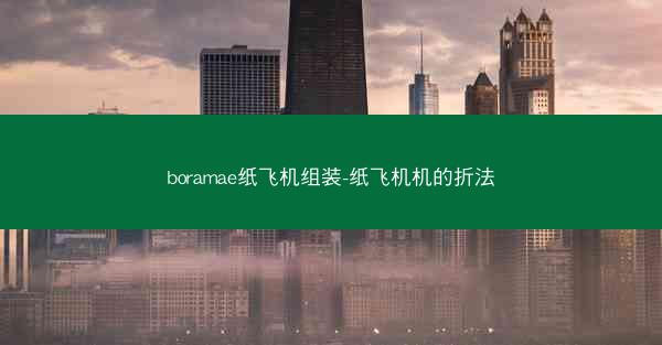 boramae纸飞机组装-纸飞机机的折法