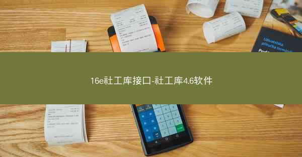 16e社工库接口-社工库4.6软件