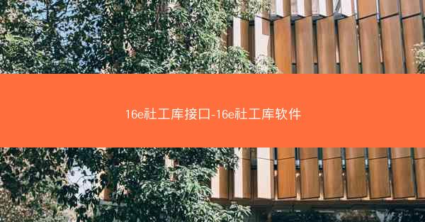16e社工库接口-16e社工库软件