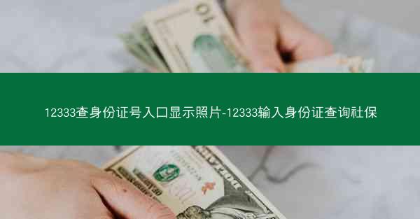 12333查身份证号入口显示照片-12333输入身份证查询社保
