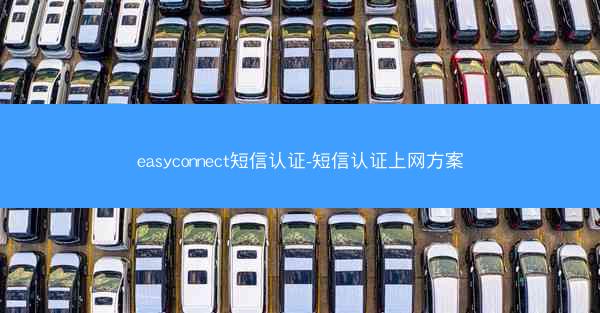easyconnect短信认证-短信认证上网方案