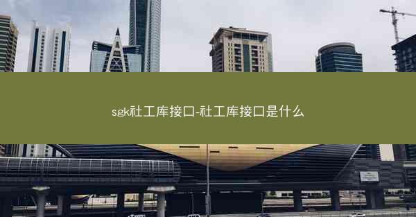 sgk社工库接口-社工库接口是什么