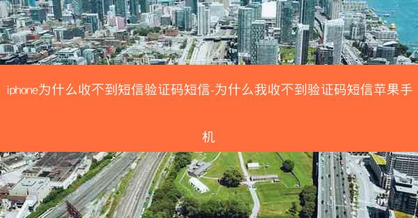 iphone为什么收不到短信验证码短信-为什么我收不到验证码短信苹果手机