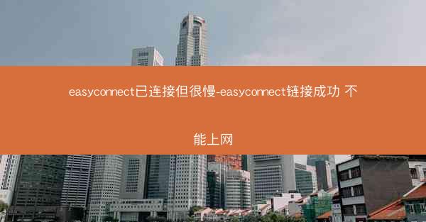 easyconnect已连接但很慢-easyconnect链接成功 不能上网