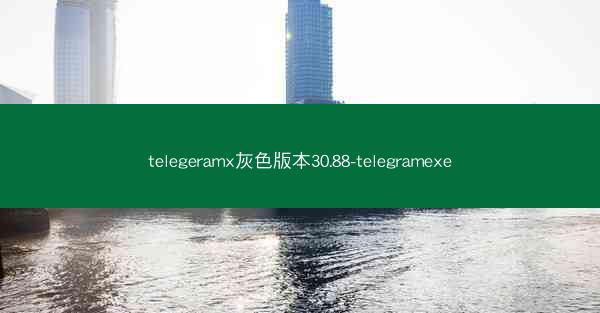 telegeramx灰色版本30.88-telegramexe