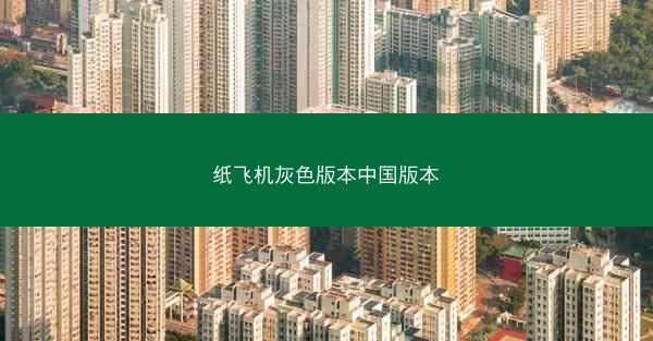 纸飞机灰色版本中国版本