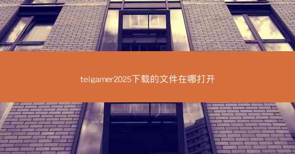 telgamer2025下载的文件在哪打开