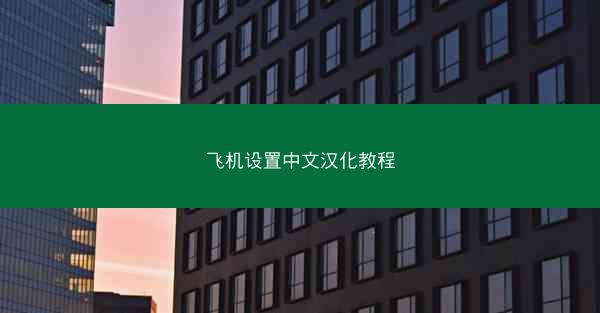 飞机设置中文汉化教程