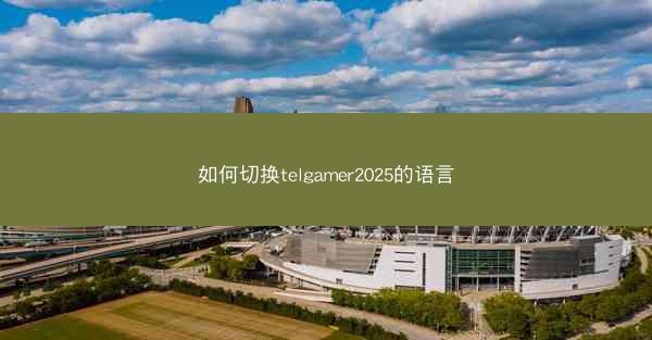 如何切换telgamer2025的语言