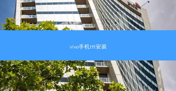 vivo手机tft安装