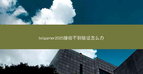 telgamer2025接收不到验证怎么办