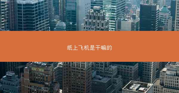 纸上飞机是干嘛的