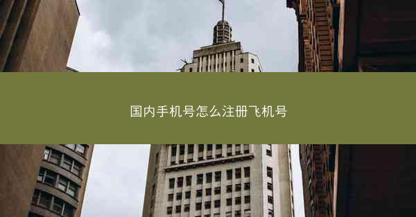 国内手机号怎么注册飞机号