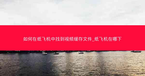 如何在纸飞机中找到视频缓存文件_纸飞机在哪下