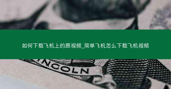 如何下载飞机上的原视频_简单飞机怎么下载飞机视频