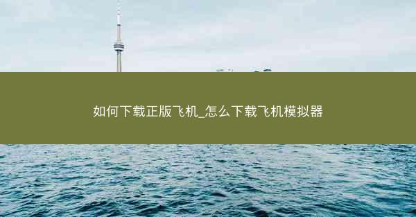 如何下载正版飞机_怎么下载飞机模拟器