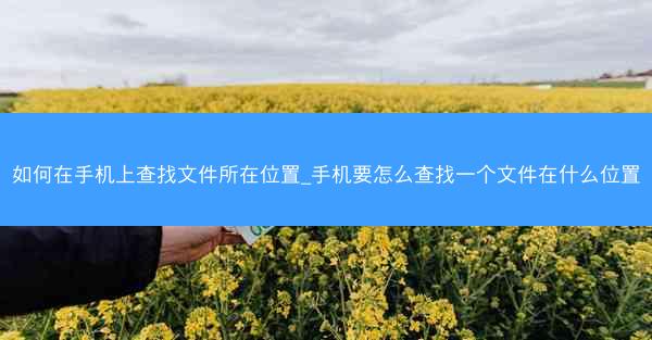 如何在手机上查找文件所在位置_手机要怎么查找一个文件在什么位置