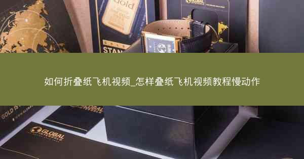 如何折叠纸飞机视频_怎样叠纸飞机视频教程慢动作