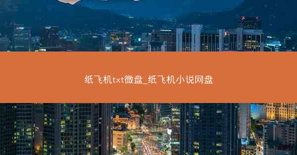 纸飞机txt微盘_纸飞机小说网盘