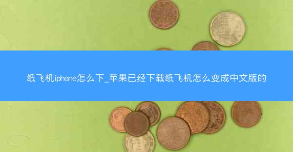 纸飞机iphone怎么下_苹果已经下载纸飞机怎么变成中文版的