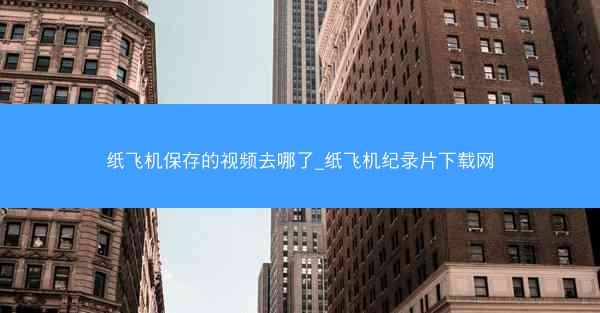 纸飞机保存的视频去哪了_纸飞机纪录片下载网