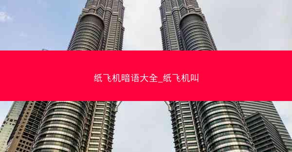 纸飞机暗语大全_纸飞机叫