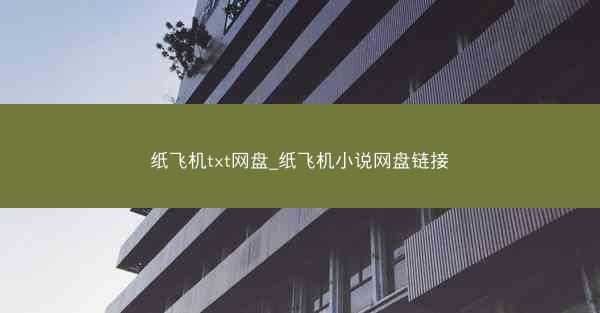 纸飞机txt网盘_纸飞机小说网盘链接
