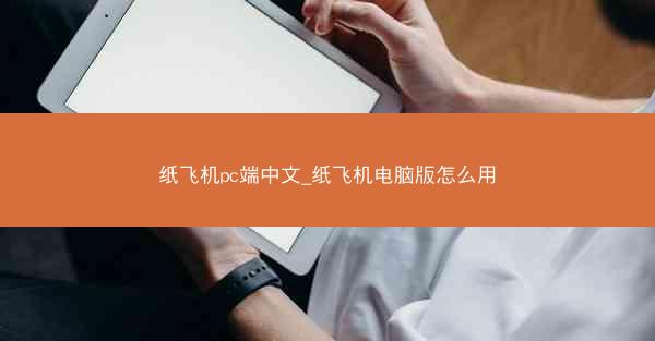 纸飞机pc端中文_纸飞机电脑版怎么用